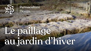 Le paillage en hiver dans un jardin en permaculture [upl. by Dur]