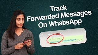 How Many Times Your Message Forwarded On WhatsApp Messenger  Whatsapp Forwarded Message Trick [upl. by Urba]