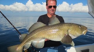 Spodsbjerg Langeland 2015  SDM Fishing Dänemark Dorsch Danmark Torsk  Denemarken Kabeljauw [upl. by Neltiak]