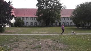 Kloster Wöltingerode  Harz [upl. by Novyat593]