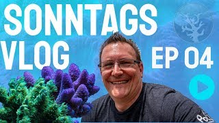 Der Meerwasseraquaristik Sonntags Vlog EP 04 ⭐Daniel zu besuch bei mir⭐ [upl. by Rabassa]