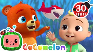 Baby Shark Colors Song  CoComelon  Animal Time  Kids Cartoons amp Nursery Rhymes  Moonbug Kids [upl. by Yerroc682]