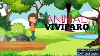 ANIMALES VIVIPAROS  CUALES SON LOS ANIMALES VIVIPAROS [upl. by Attenauq580]