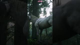 Get RARE Perlino Andalusian Horse Location  RDR2 shorts rdr2 rockstargames [upl. by Maunsell218]