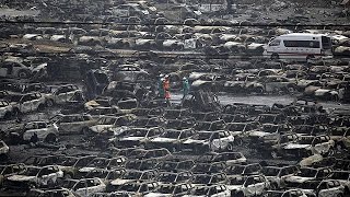 Nuclear and biochemical experts arrive at scene of Tianjin explosion [upl. by Gene]