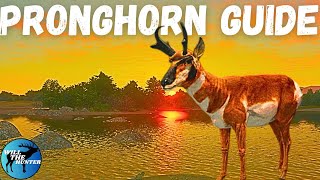 Rancho Del Arroyo Pronghorn Guide TheHunter Call Of The Wild 2023 [upl. by Euqnimod]