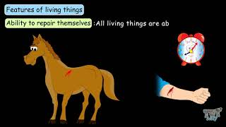 Characteristics of Living Things  Science  Grade78 Tutway [upl. by Moorish]