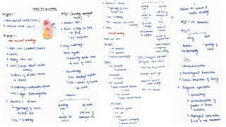 UPPER GI BLEED ampMx OF ESOPHAGEAL BLEEDNOTES ONE PAGE NOTES  ESOPHAGUS  SURGERY  4TH PROFF  MBBS [upl. by Ortiz]