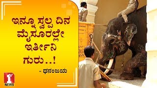 ‘ಇನ್ನೂ ಸ್ವಲ್ಪ ದಿನ ಮೈಸೂರಲ್ಲೇ ಇರ್ತೀನಿ ಗುರು’  Elephant Dhananjaya  Dasara elephant Dhananjaya [upl. by Struve]