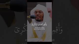 Sourate Ta Ha 🎤 Yasser Dosary qurantalawat islamicprayer recitationtilawat [upl. by Kolva958]