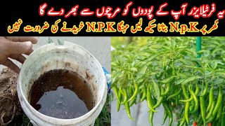 How to make organic NPK fertilizer at home  most important fertilizer for kitchen gardening [upl. by Macmillan]