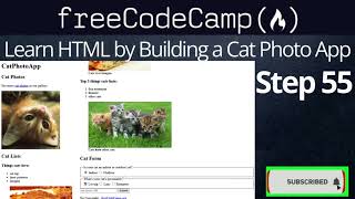 Learn HTML by Building a Cat Photo App  Step55 [upl. by Atnahc95]