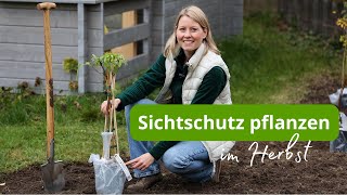 Ich pflanze die ersten Sträucher im Garten für eine heimische Hecke  Herbst ist Pflanzzeit 💪🏼🌱🌲 [upl. by Royo]