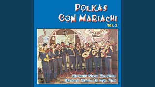 México en Polka [upl. by Affra56]