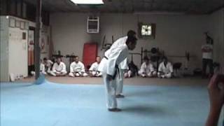 Shorin Ryu Kata  Tomari No Passai [upl. by Arual]