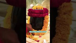 today shankerji mahadev mahakal bholenath jatashankar damrudhari gurgaonvlog shiv baba [upl. by Rozalin678]