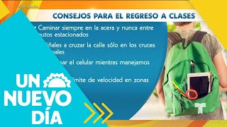 Descubre cómo evitar accidentes en este regreso a clases  Un Nuevo Día  Telemundo [upl. by Lane]