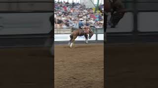 Rylan Creighton at The Stockyard Rodeo 629 ‌ ‌broncriding rodeo [upl. by Fai]