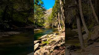 Calvert Cliffs amp Rocks State Park MD Exploring US States 📸🎥🇺🇸 shorts [upl. by Arraek185]