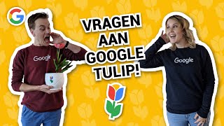 Praten met een tulp 🌷  Vraag het Google [upl. by Weinberg8]