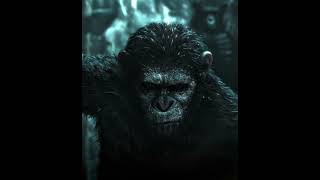 DAWN OF THE PLANET OF THE APES EDIT  CAESAR amp KOBA APES dawnoftheplanetoftheapes j6ffedit [upl. by Latsirc503]