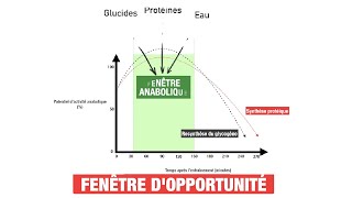 Ramadan  Quel est le MEILLEUR HORAIRE pour SENTRAÎNER [upl. by Ulu]