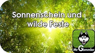 Sonnenschein und wilde Feste Instrumental [upl. by Caressa]