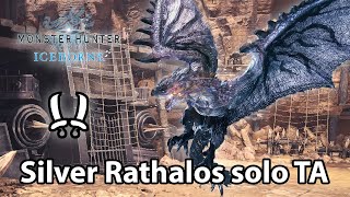 MHW Iceborne  Silver Rathalos solo Dual Blades  348 TA rules [upl. by Inar745]