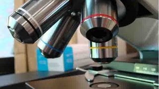 How To Use a Compound Light Microscope Biology Lab Tutorial [upl. by Rebekah]