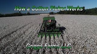 How A Cotton Picker Works 4K [upl. by Cynara485]