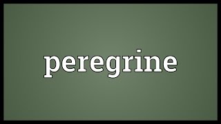 Peregrine Meaning [upl. by Rozele57]