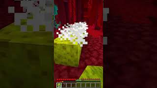 ESPONJA 247 CURIOSIDADES Y SECRETOS DE MINECRAFT minecraft curiosidadesminecraft short [upl. by Koloski916]