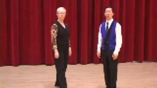 Silver Viennese Waltz  Rise and Fall Ballroom Dance Lesson [upl. by Neerroc]