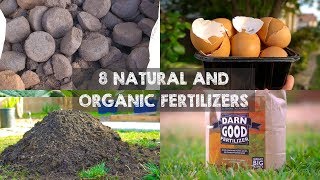 8 Natural and Organic Fertilizers to Grow Big Plants [upl. by Aivila]