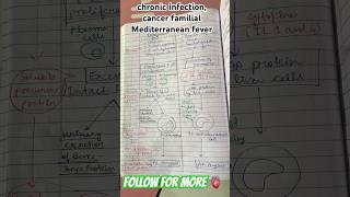 Pathogenesis of Amyloidosis 🫁 learning youtubeshorts pathology exam shorts share education [upl. by Hotze]