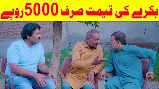 Rana Ijaz New Funny Video  Standup Comedy By Rana Ijaz  Rana Ijaz Best Marketer In This World [upl. by Anauqat505]