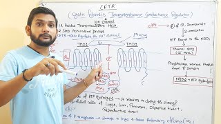 CFTRCystic Fibrsis Transmembrane Conductance RegulatorCSIR NETin Hindi [upl. by Colleen903]