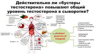 Действительно ли «бустеры тестостерона» повышают общий уровень тестостерона в сыворотке [upl. by Demy]