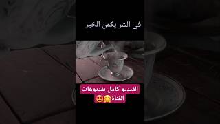 Cartoon World  عالم الكرتون🧚افلام انمى🧚 Anime movies🧚 [upl. by Thgiwed]