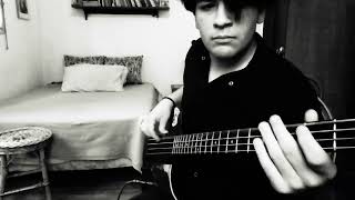 Patricio Rey y sus Redonditos de Ricota  Bestia pop  Bass cover  mal hecho [upl. by Antonia]