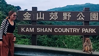 Kham Shan Country Park MONKEY HILL [upl. by Aleuqahs]