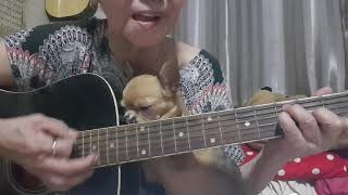 Ten thousand miles👵Cover by Malinda👵 [upl. by Yennek]