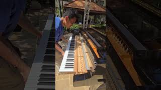 What is inside the grand Piano piano diy fixed [upl. by Haliled968]