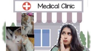 Cat hoi beemar🥺cat ko laga injection 🥺💉  shukar hai aj khana nhi jala 😅  chicken shimla🍗🫑vlog [upl. by Leighton]