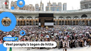 Honderden doden bij hadj door extreme hitte [upl. by Natassia706]