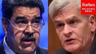 The World Knows What Happened At The Ballot Box Cassidy Slams Maduro For Fixing Election [upl. by Philana364]