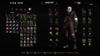 Witcher 3 Toxicity Mechanics Using 5 Decoctions amp Skill Switching [upl. by Hcirdeirf]