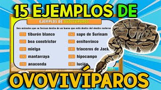 20 EJEMPLOS DE Animales OVOVIVÍPAROS [upl. by Lorien866]