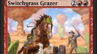 MTG Switchgrass Grazer Discussion [upl. by Yrrab]