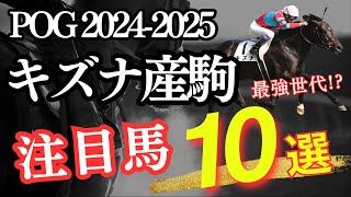 【POG】POG20242025「最強世代キズナ産駒注目馬10選」【競馬】 [upl. by Evans]